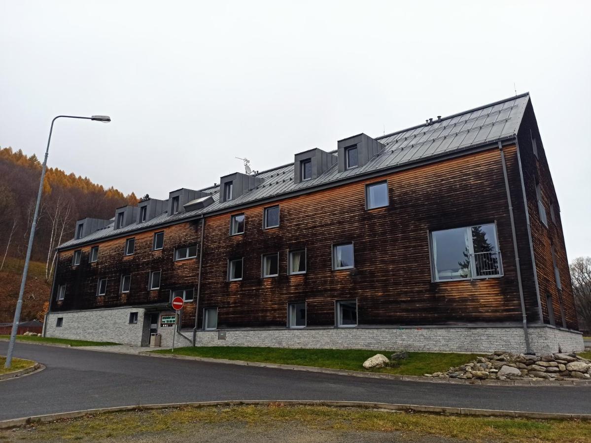 Ferienwohnung Mezonetovy Apartman Kouty Nad Desnou Loučná nad Desnou Exterior foto