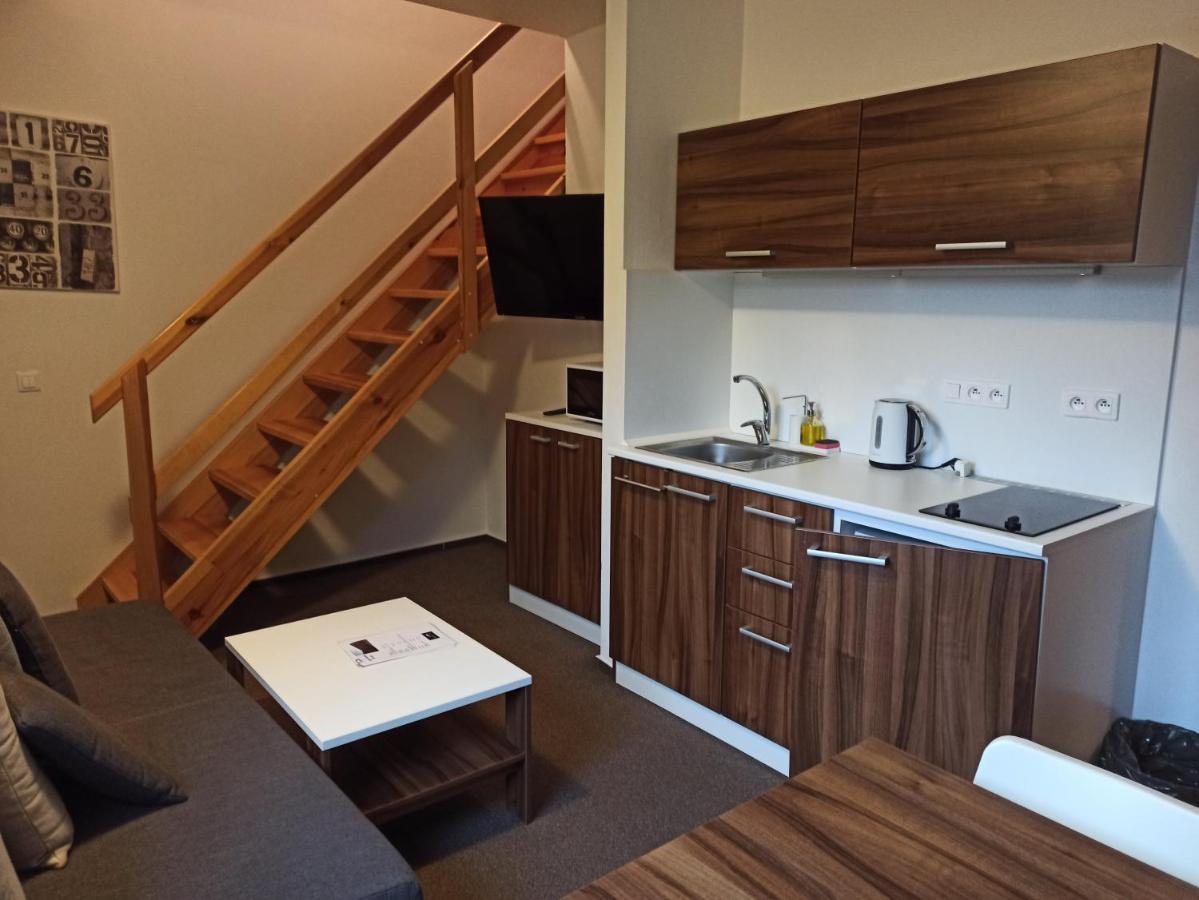 Ferienwohnung Mezonetovy Apartman Kouty Nad Desnou Loučná nad Desnou Exterior foto